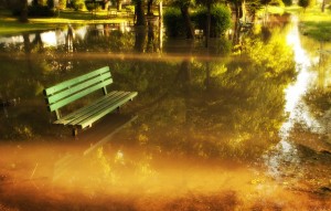 Flooded park in Bosnia