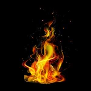 Realistic fire on a black background vector